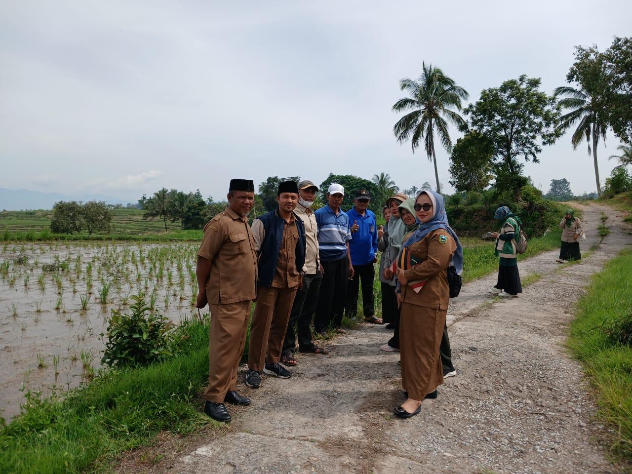 Rapat Koordinasi Pencegahan Hama Tikus di Nagari Talang Bersama Dinas PPL dan Dinas Pertanian Kabupaten Solok