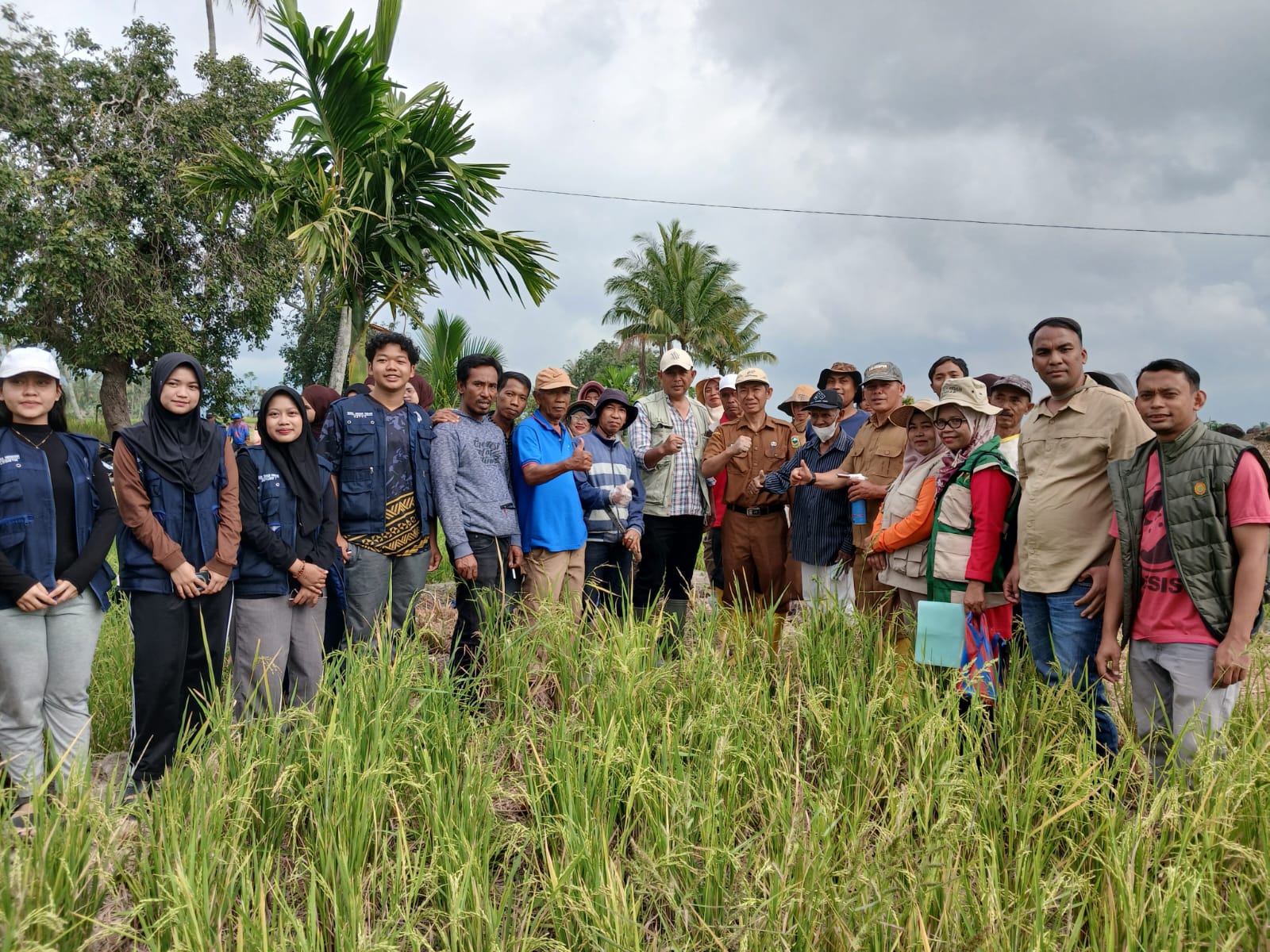 Sanitasi dan Perburuan Hama Tikus di Nagari Talang